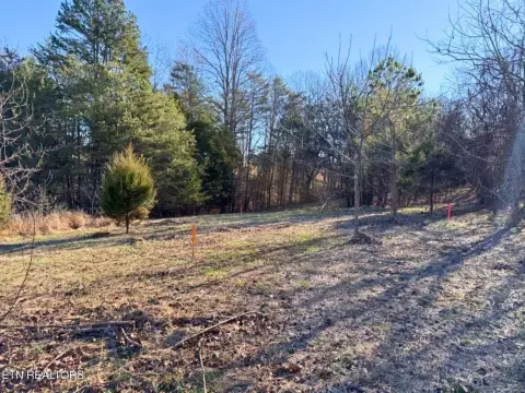 Golf Course Homesite in Vonore
