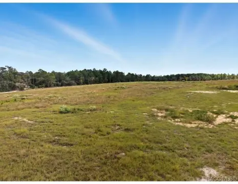Cleared Land in Dunnellon, FL