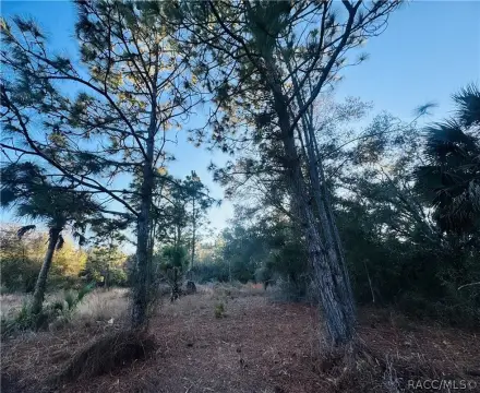 Crystal River Vacant Land Homesite