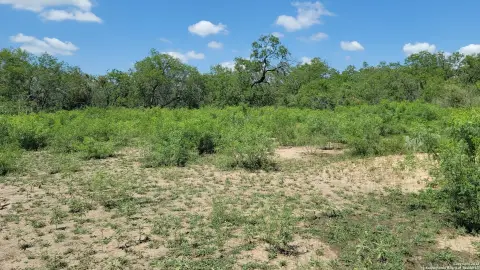Unrestricted Land in La Vernia, TX