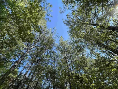 Picture of Land at Hwy 96 N 4630, Jasper, TX