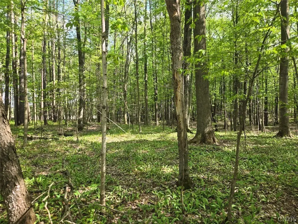 Picture 22