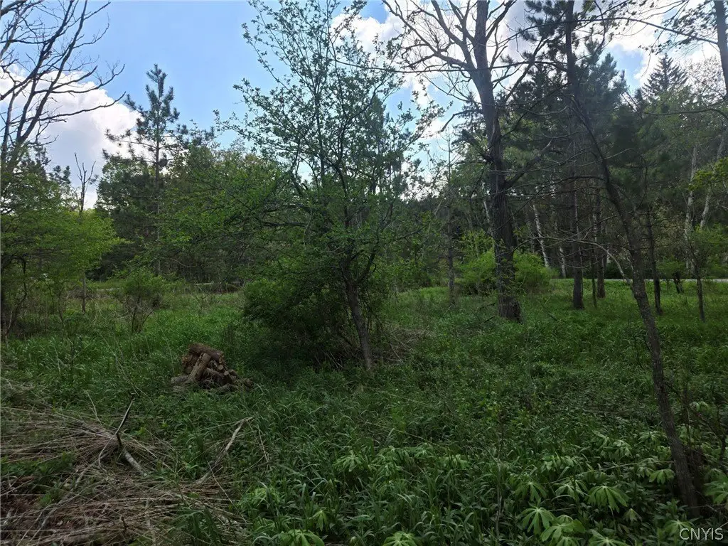 Picture 11