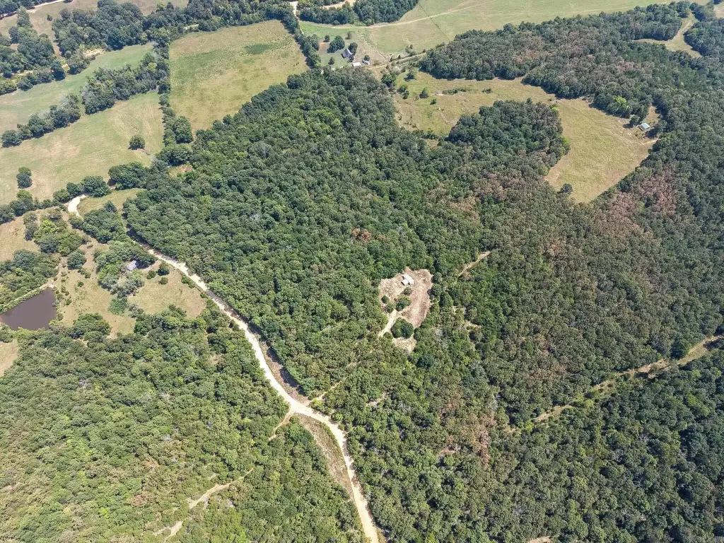 Picture 17