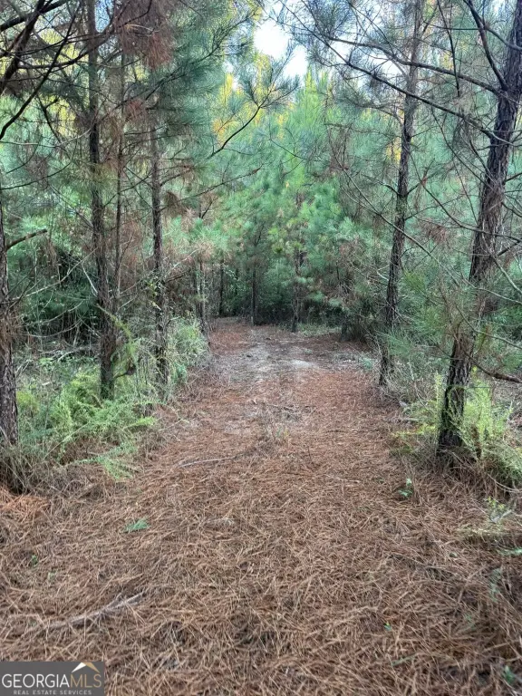 Picture 5