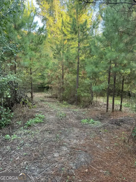 Picture 6