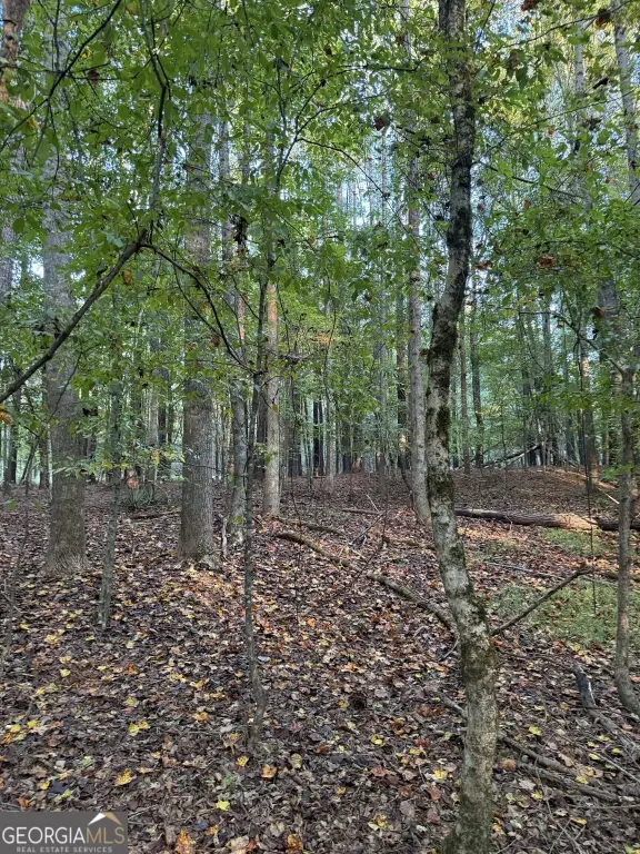 Picture 16