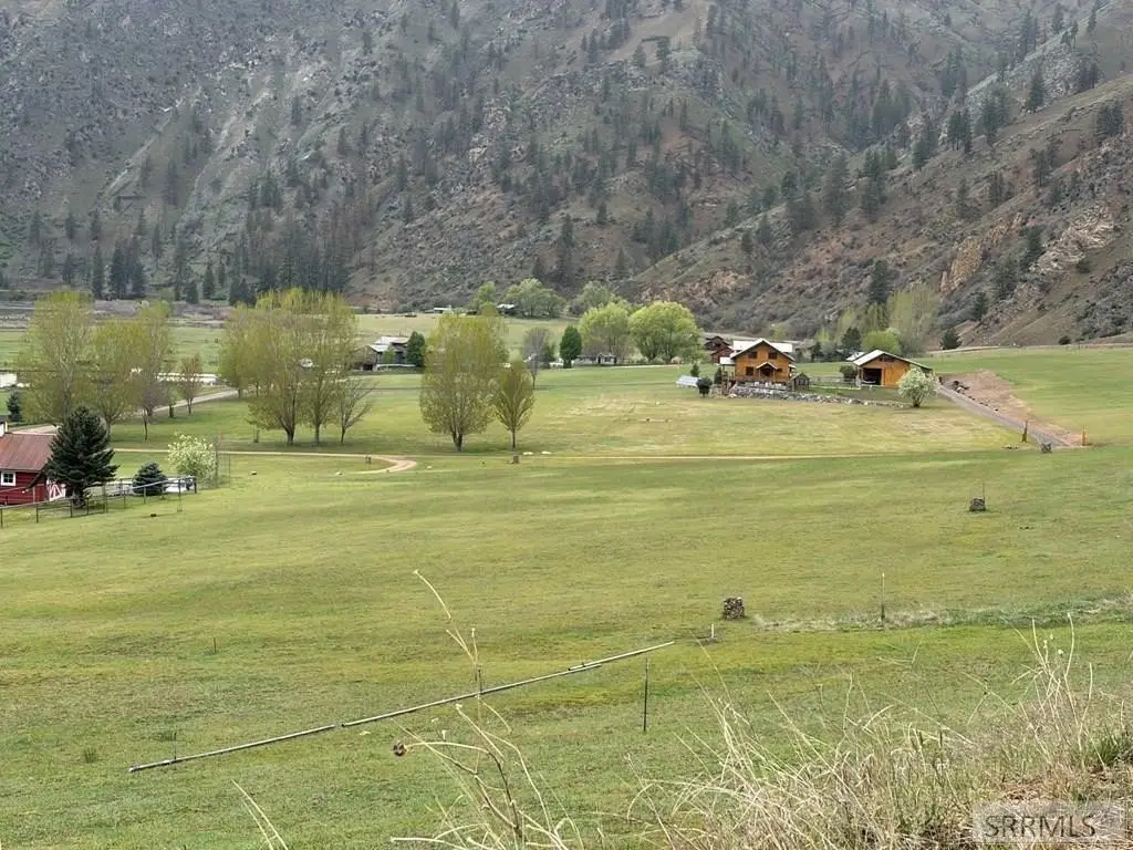 Picture 4