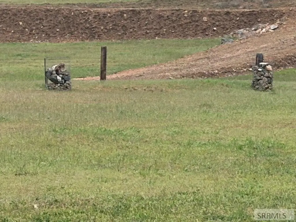 Picture 25