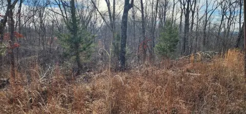 Undeveloped Lot Near Boating Access