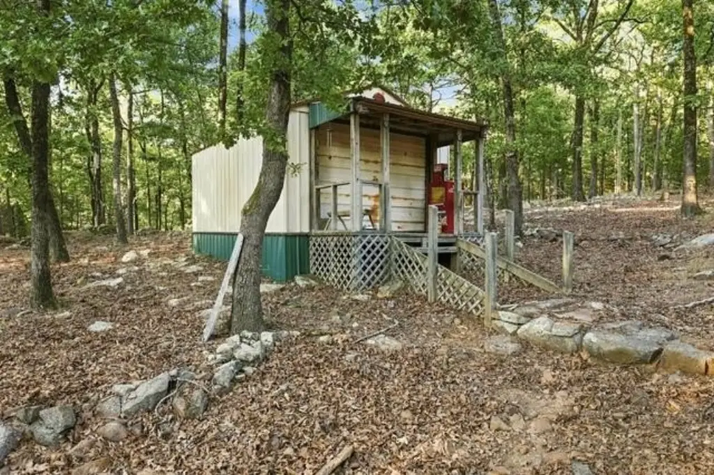 Picture 11