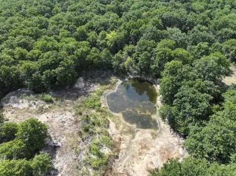 Wooded Recreation Land