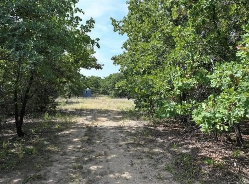 Picture 2