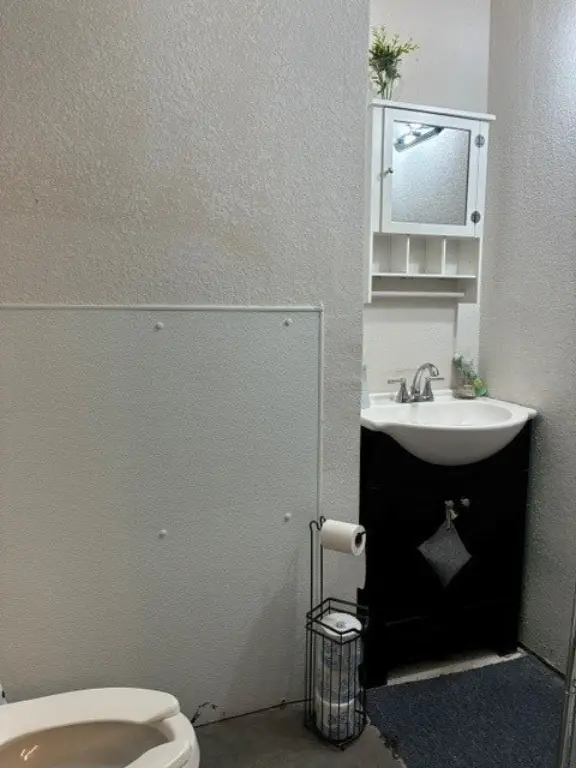 Picture 28