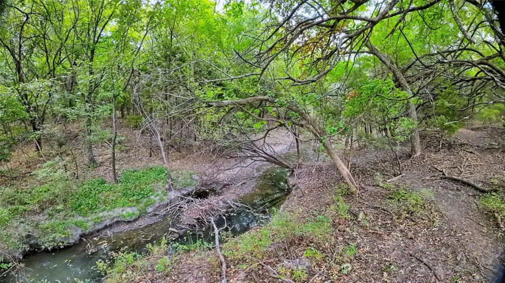 Picture 18