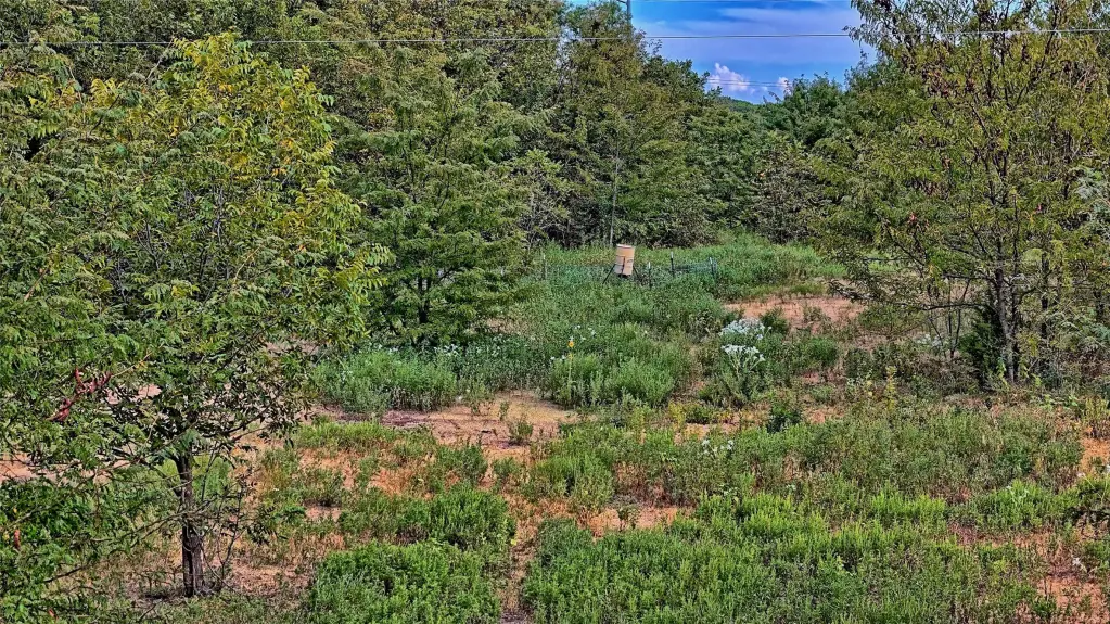 Picture 19