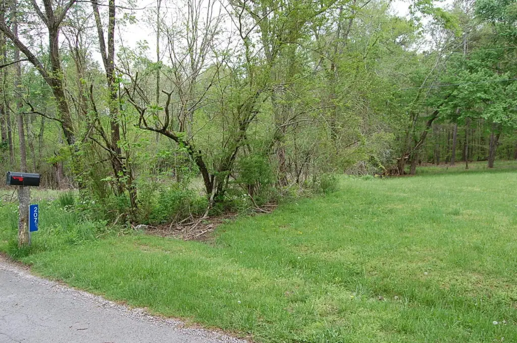 Picture 5