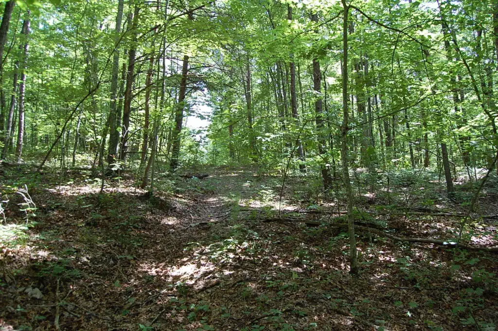 Picture 3