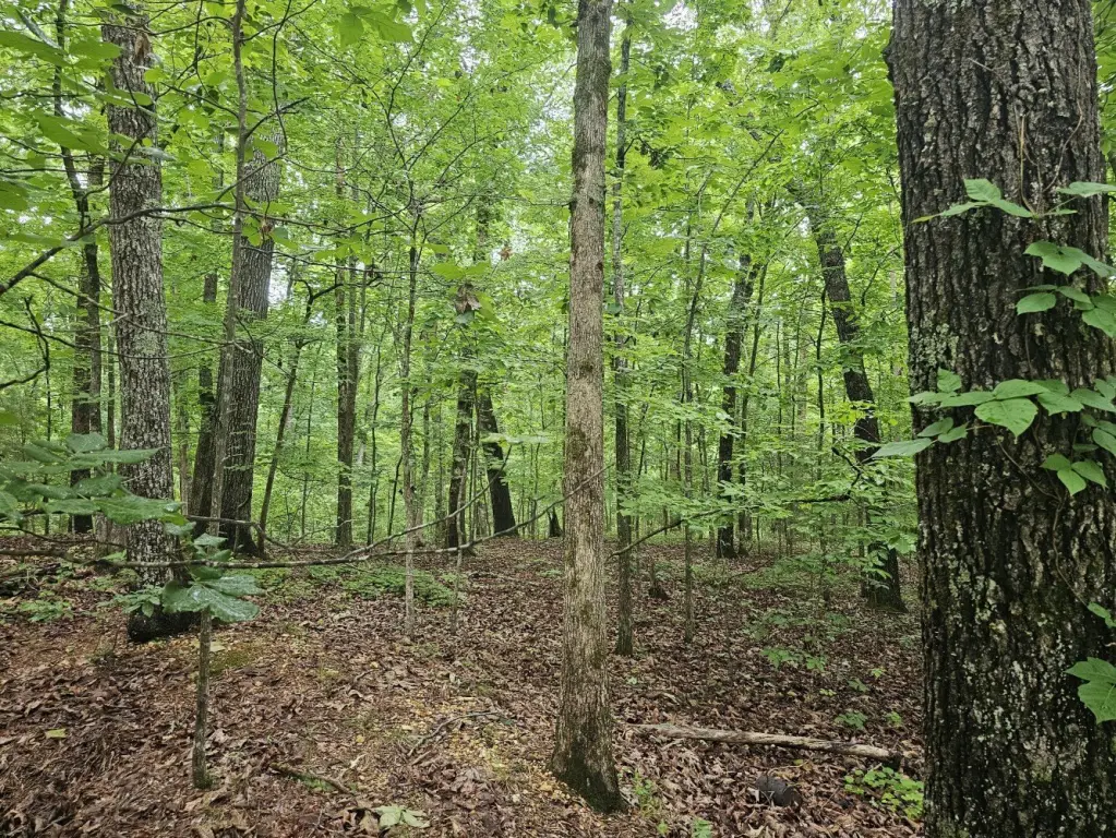 Picture 20