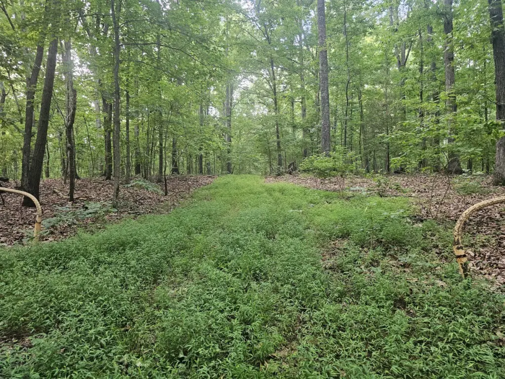 Picture 23