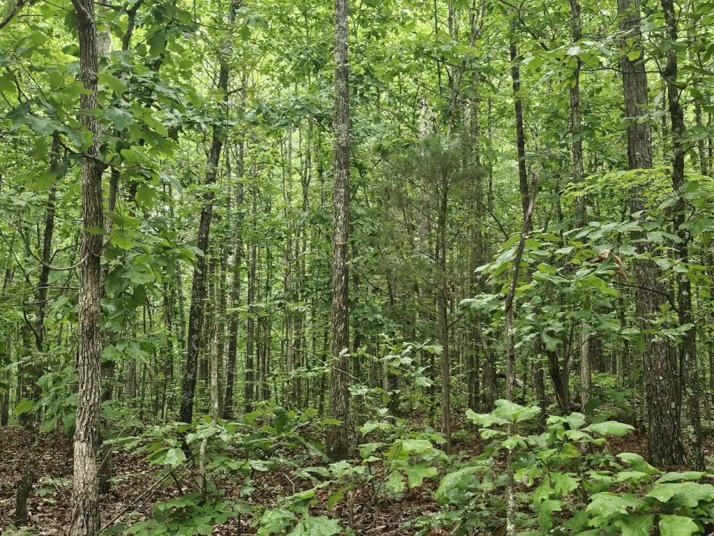 Picture 19
