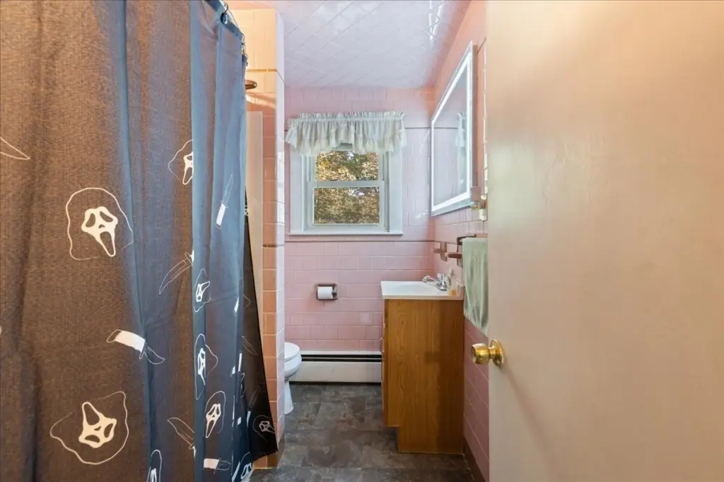 Picture 21