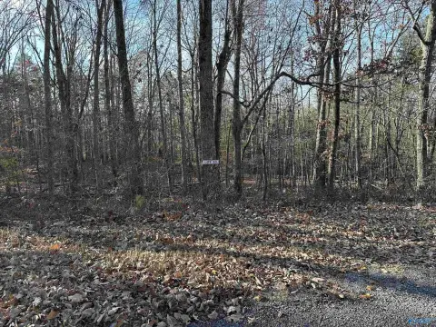 Wooded Lot in Scottsboro, AL