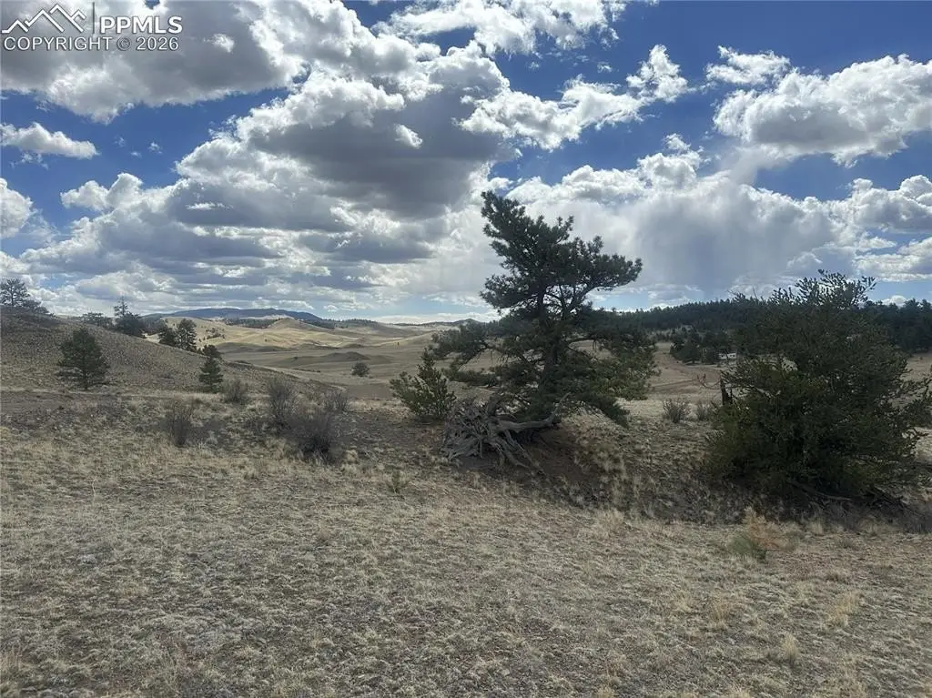 Picture 26