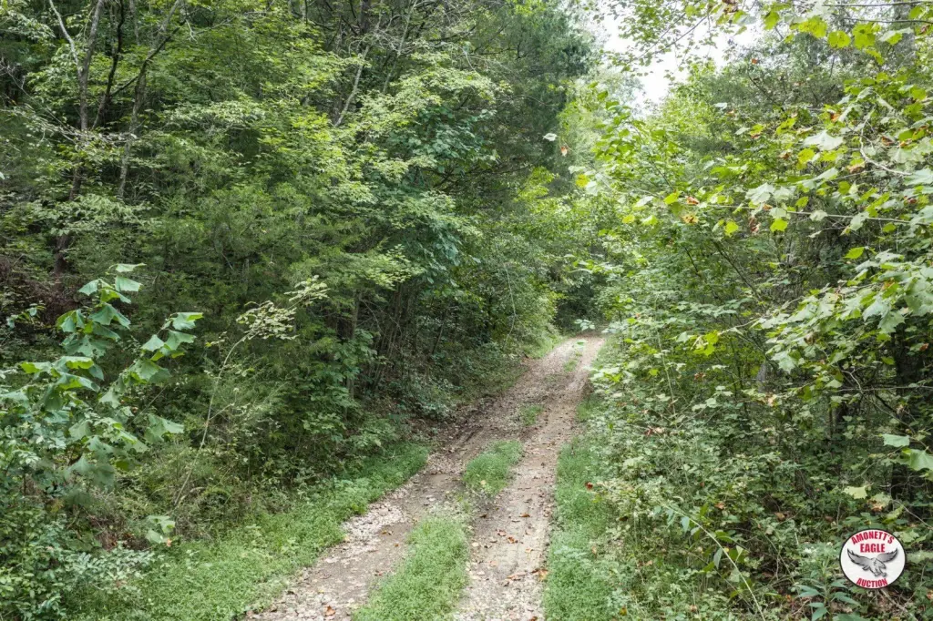 Picture 15
