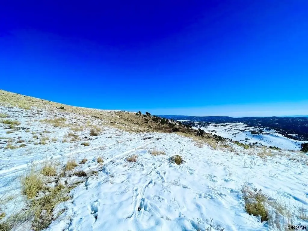 Picture 39