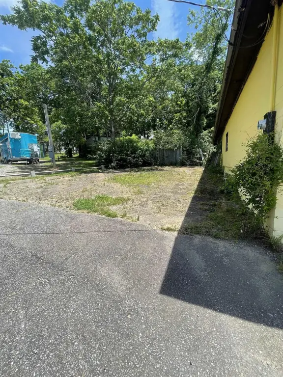 Picture 15