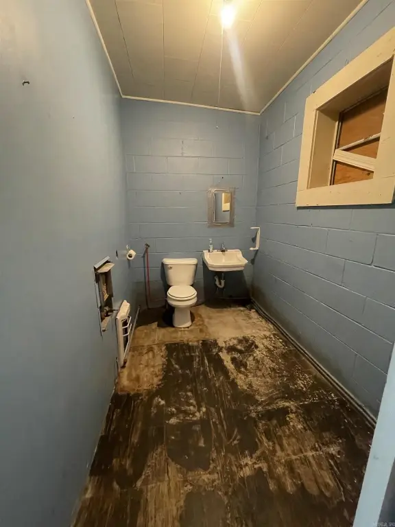 Picture 11