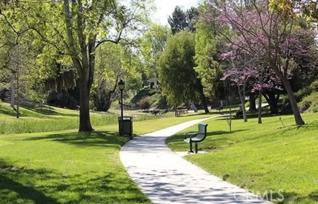 Picture 27