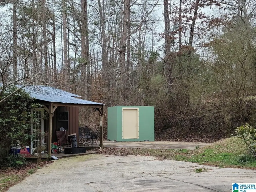 Picture 21
