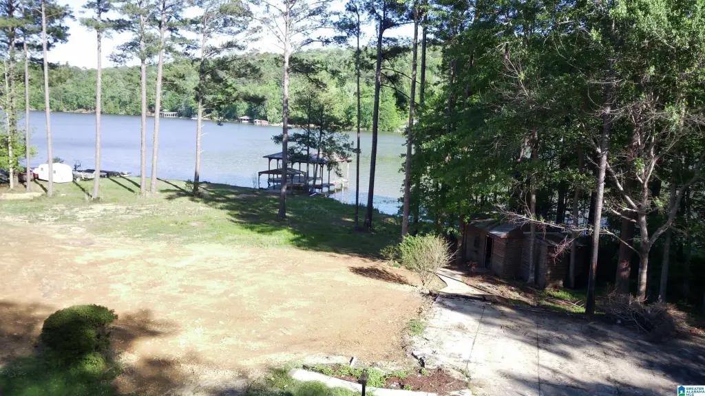 Picture 11