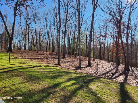 Tennessee National Wooded Lot
