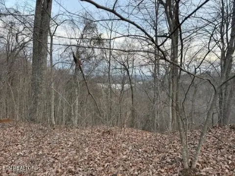 89.31 Acres with Mountain Views