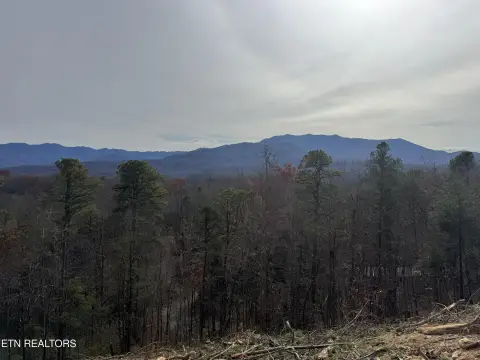 Gatlinburg Land with Mountain Views