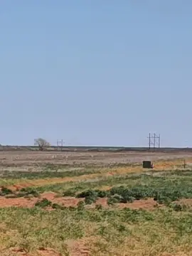 Residential/Commercial Land in Wellman, TX