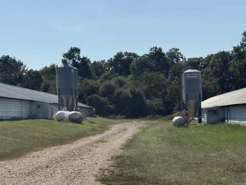 Working Broiler Farm