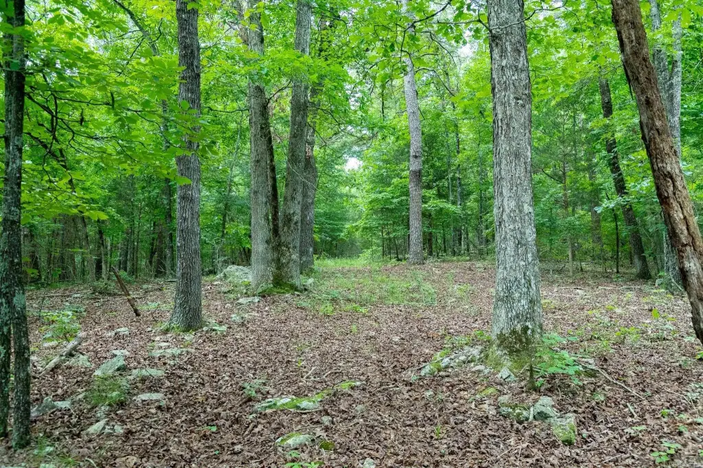 Picture 31