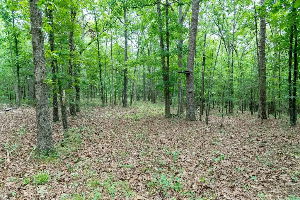Picture 30