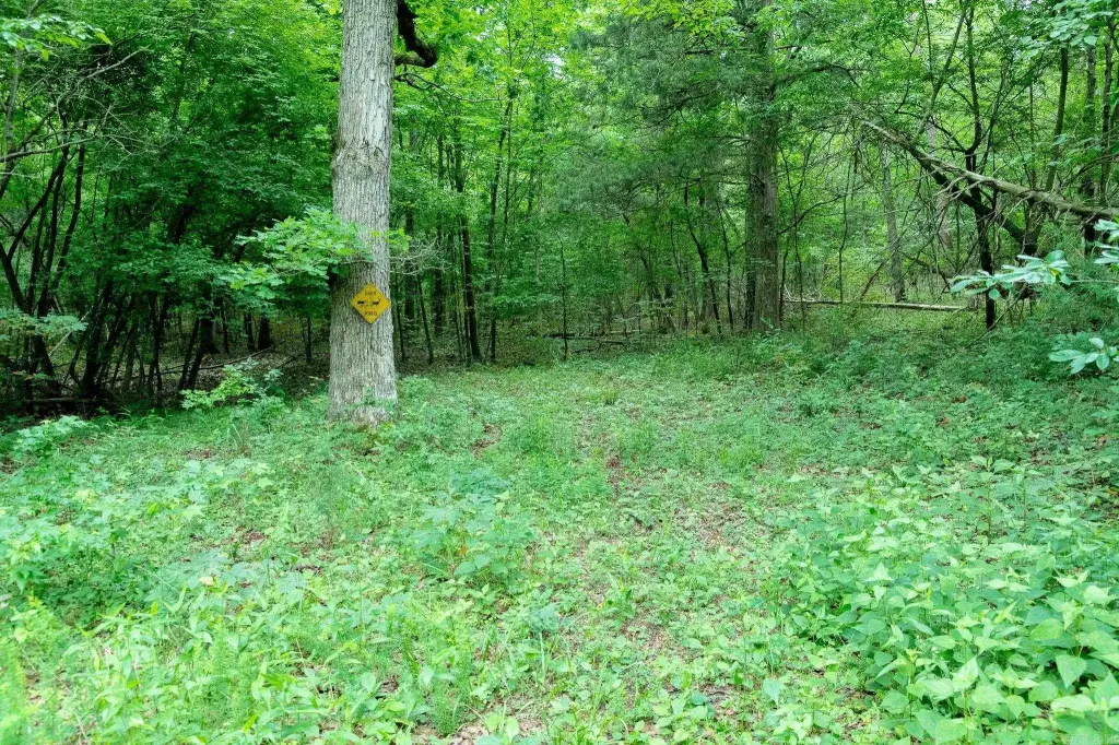Picture 21