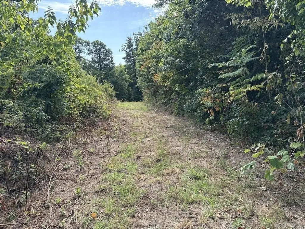 Picture 41