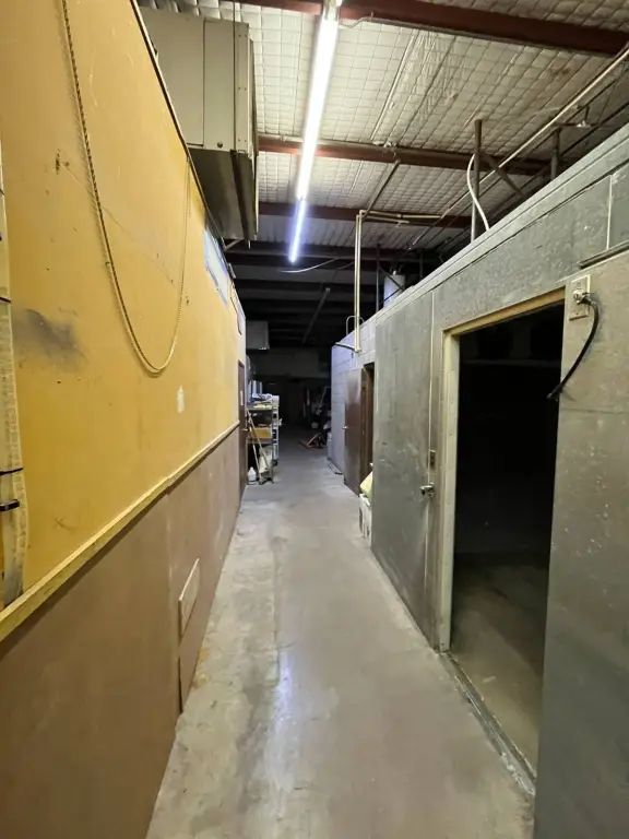 Picture 4