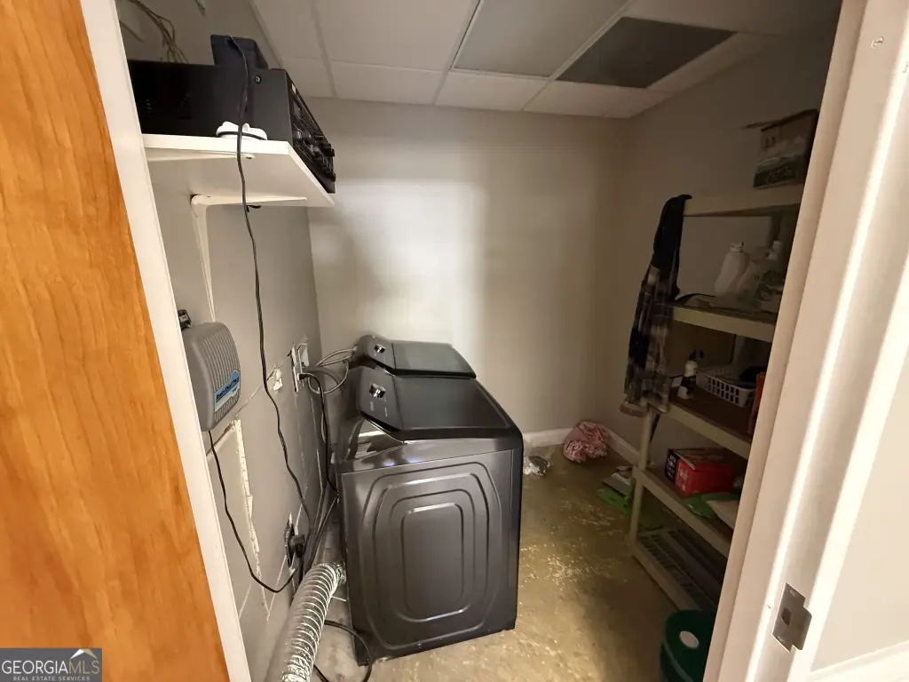 Picture 5
