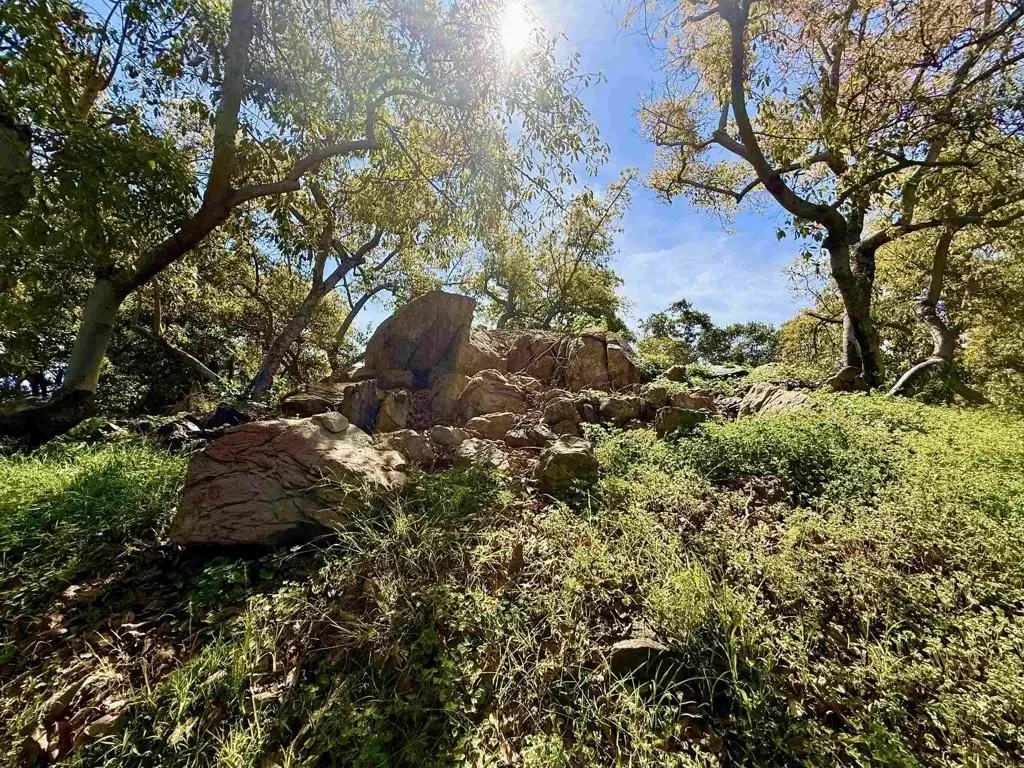 Picture 26