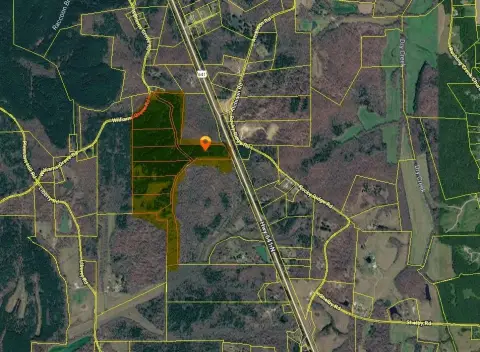 93.19 Acres for Development