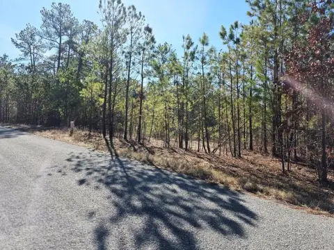 5-Acre Wooded Residential Lot