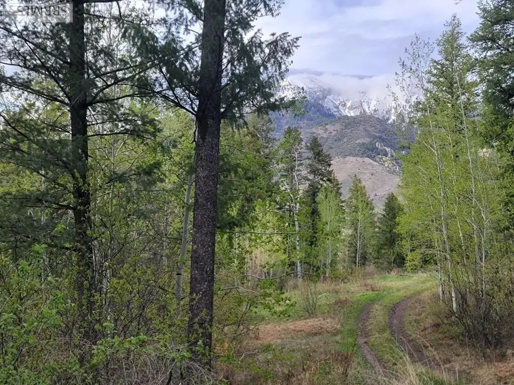 Picture 13